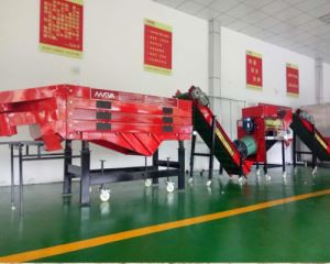 Velký česnek Split stroj